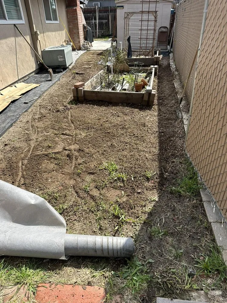 Trusted yard maintenance for beautiful yards in Ontario, CA by Az Organics