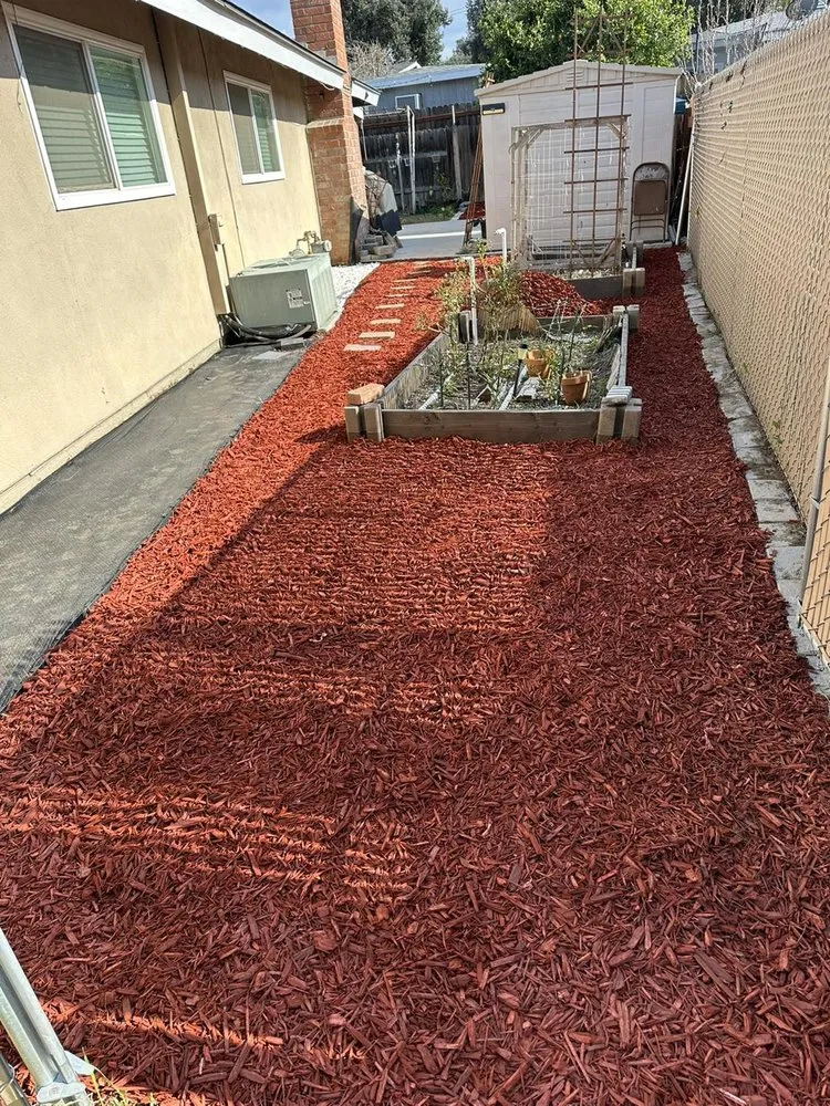 Trusted yard maintenance in Ontario, CA by Az Organics