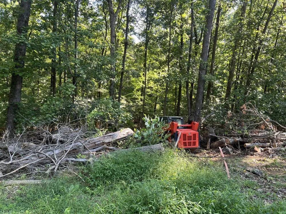 Affordable landscape installation in Cleveland, TN - AZ Outdoor Services