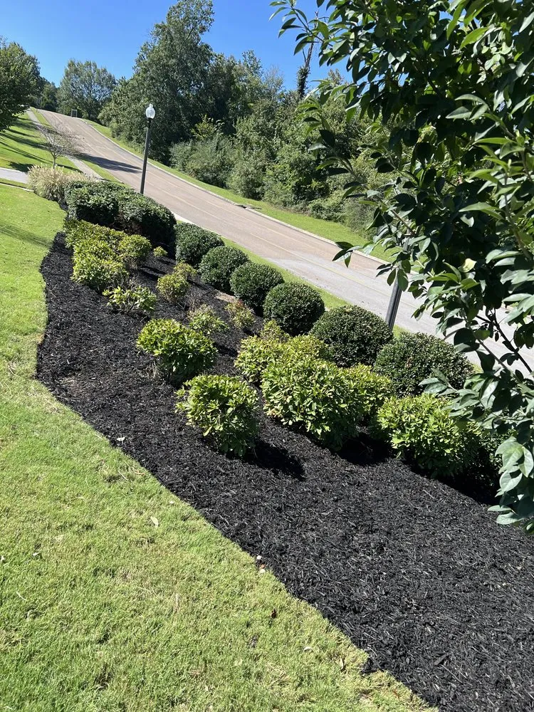 Professional outdoor landscaping in Cleveland, TN by AZ Outdoor Services