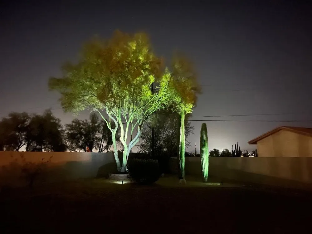 Affordable yard cleanup service for residential properties in Tucson, AZ by AZ Outdoor Solutions