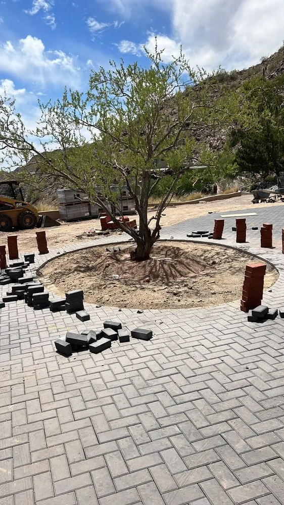 Reliable outdoor landscaping for year-round maintenance across Carefree, AZ - AZ Pavers