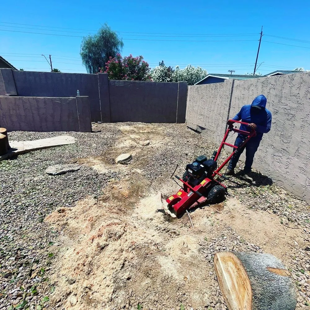 Custom landscape installation experts serving Phoenix, AZ - AZ Pyramid Landscaping