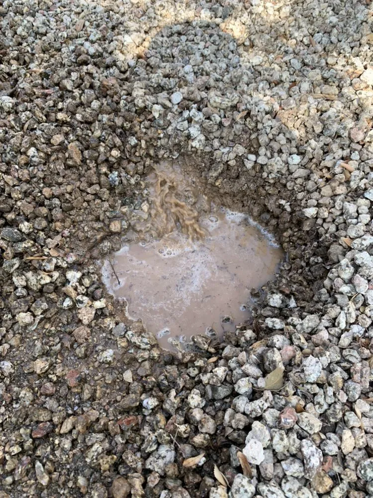 Professional landscape design in Phoenix, AZ by AZ Pyramid Landscaping