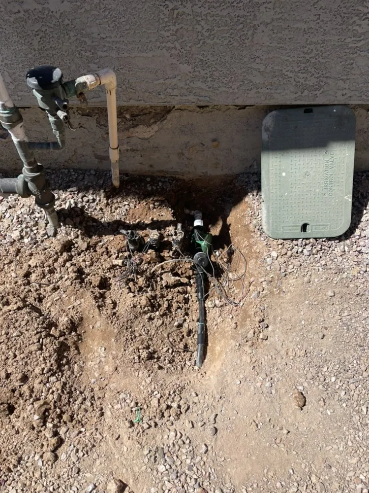 Expert garden landscaping for year-round maintenance in Phoenix, AZ by AZ Pyramid Landscaping