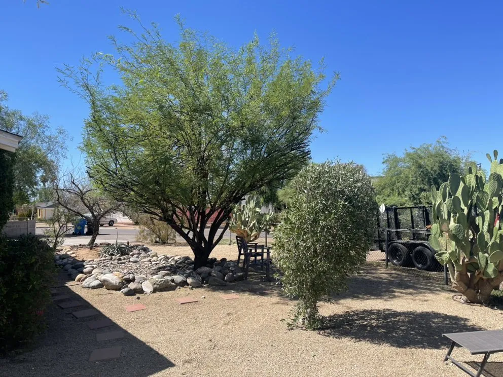 Local residential landscaping in Phoenix, AZ by AZ Pyramid Landscaping