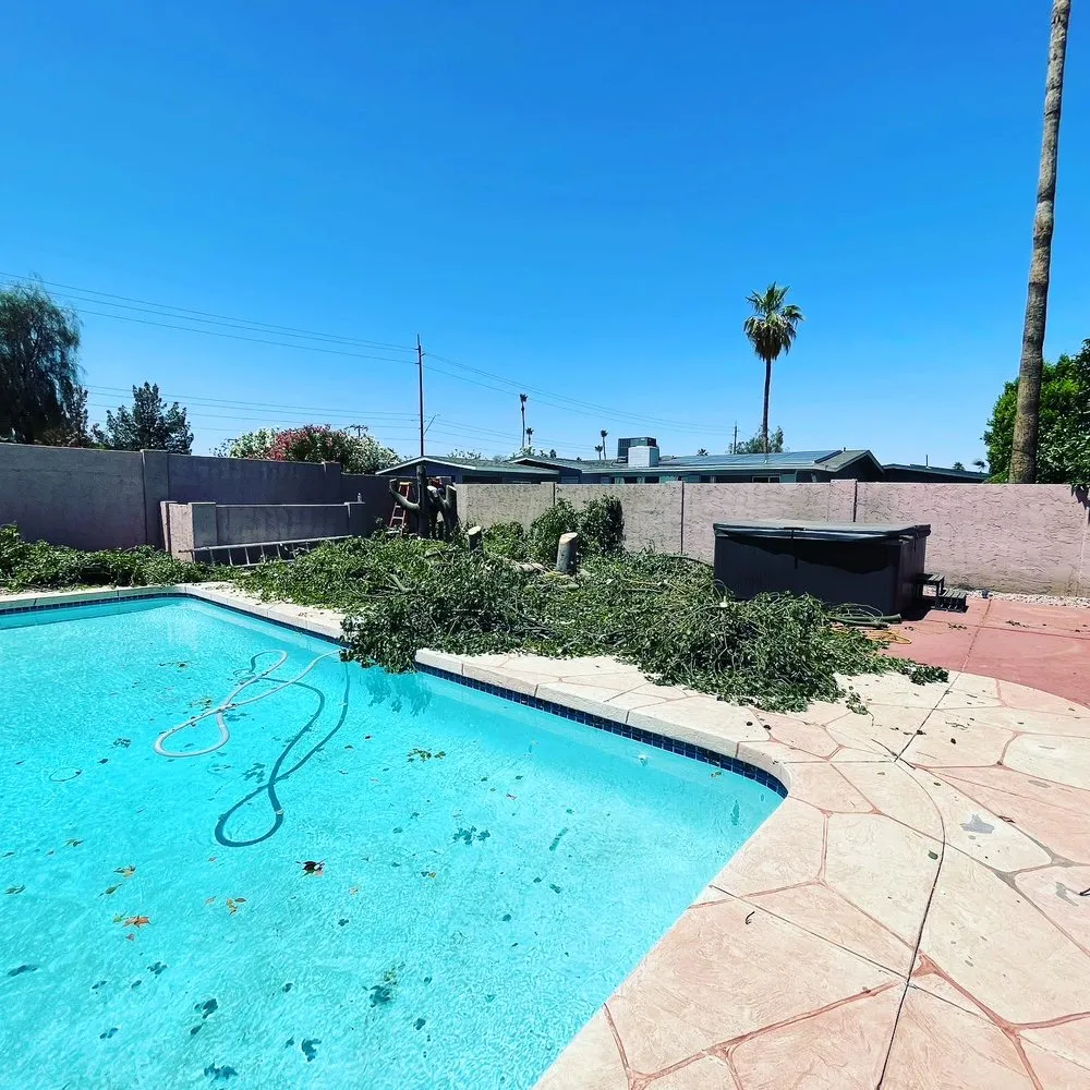 Reliable landscape design experts serving Phoenix, AZ - AZ Pyramid Landscaping