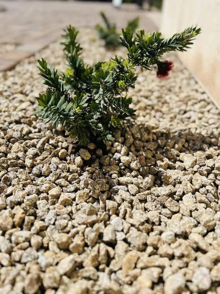 Trusted lawn care service near you across Queen Creek, AZ - AZ Rock Depot