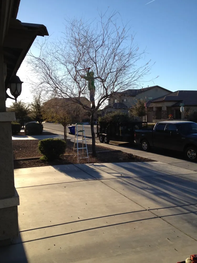 Local lawn care service for outdoor upgrades in Maricopa, AZ by AZ-RY's Landscaping