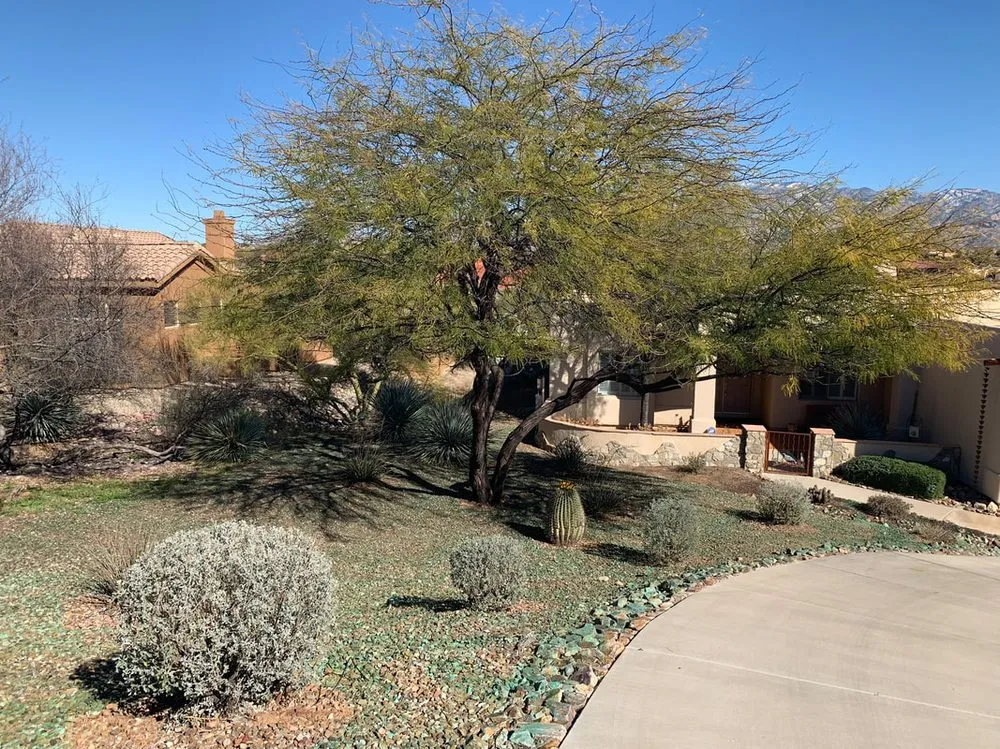 Expert garden landscaping for residential properties in Tucson, AZ by AZ Sunset Landscaping