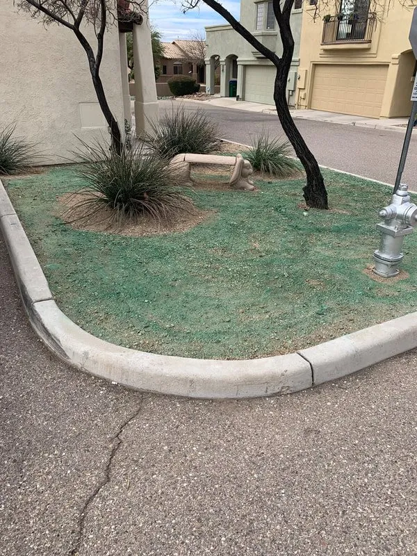 Expert lawn care service experts serving Tucson, AZ - AZ Sunset Landscaping