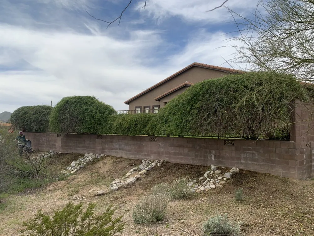 Top-rated landscape installation in Tucson, AZ - AZ Sunset Landscaping