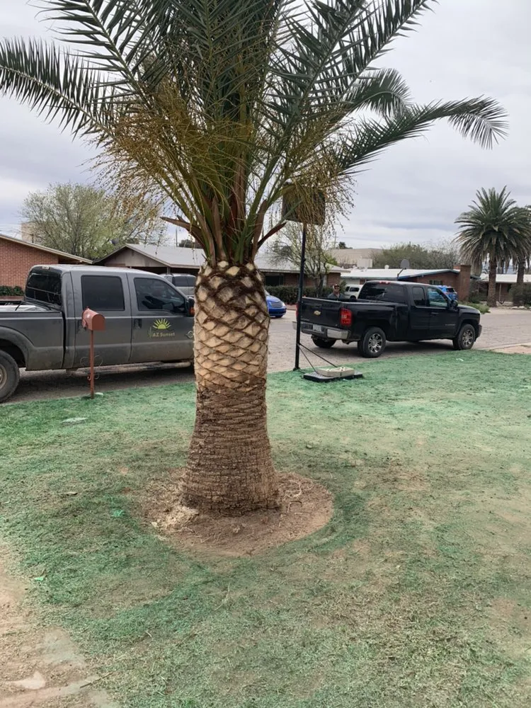 Custom landscape design for year-round maintenance across Tucson, AZ - AZ Sunset Landscaping