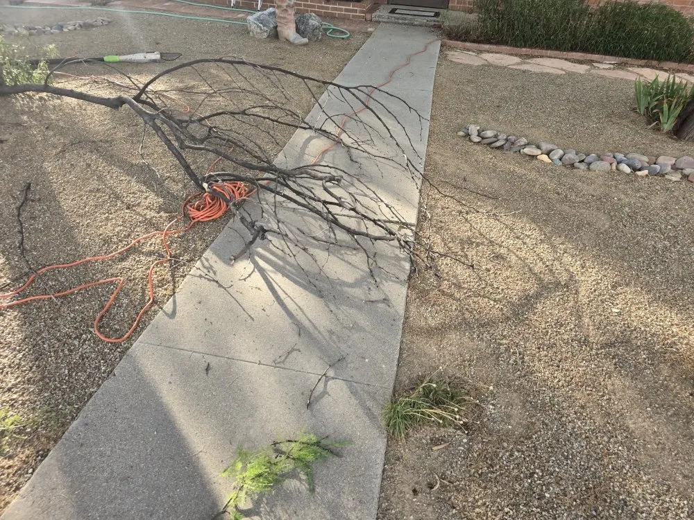 Trusted lawn mowing service for year-round maintenance in Tucson, AZ by Az Sunshine Landscaping & Design