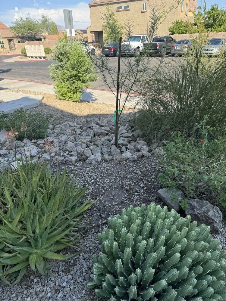 Professional residential landscaping in Tucson, AZ by Az Sunshine Landscaping & Design