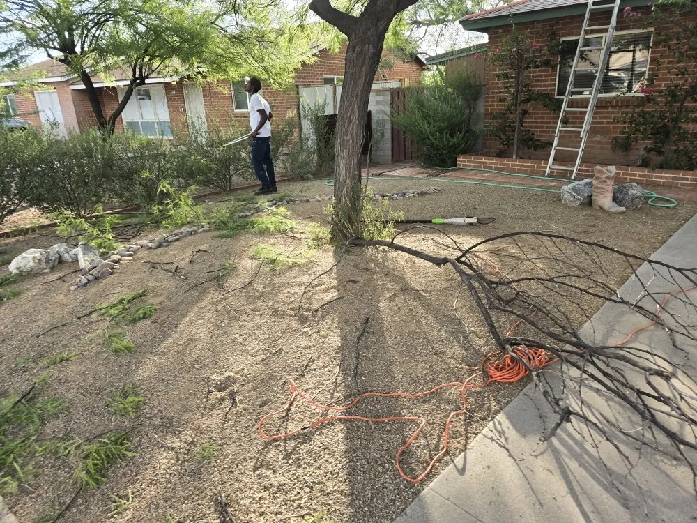 Custom residential landscaping in Tucson, AZ by Az Sunshine Landscaping & Design