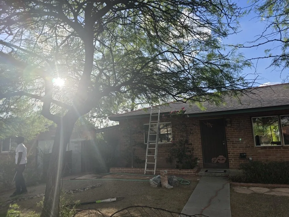 Top-rated landscape installation in Tucson, AZ - Az Sunshine Landscaping & Design