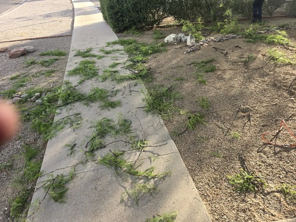 Expert residential landscaping experts serving Tucson, AZ - Az Sunshine Landscaping & Design