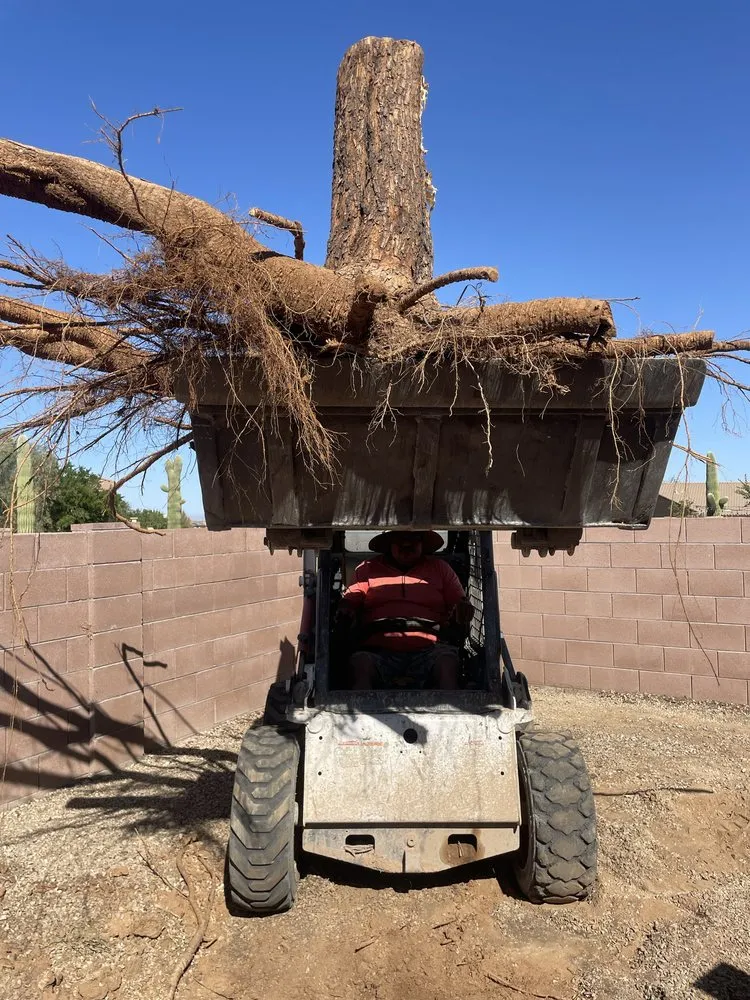 Top-rated residential landscaping for outdoor upgrades in Tucson, AZ by AZ TOP M G C