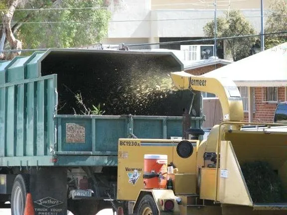 Affordable landscape design for homes across Tucson, AZ - AZ Tree and Landscaping