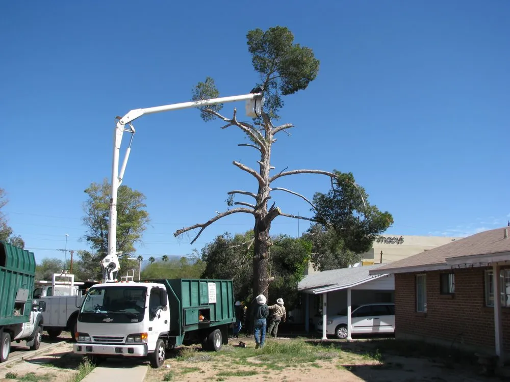 Professional outdoor landscaping with custom design across Tucson, AZ - AZ Tree and Landscaping
