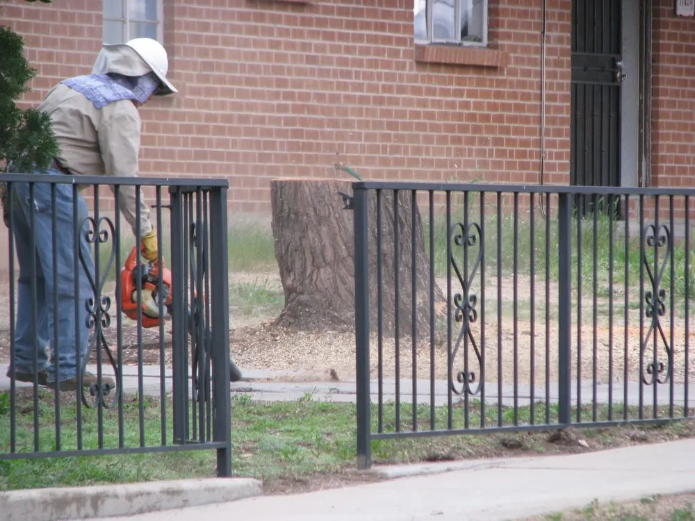 Custom garden landscaping in Tucson, AZ by AZ Tree and Landscaping