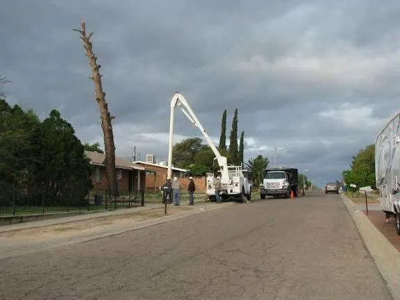 Custom landscaping services near you in Tucson, AZ by AZ Tree and Landscaping