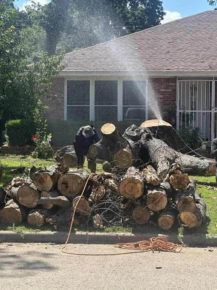Expert landscaping services in Dallas, TX by Az Tree Services