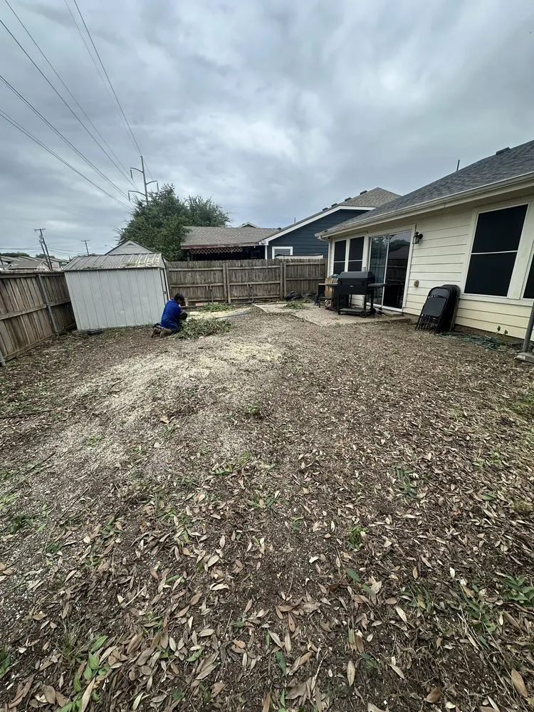 Affordable landscape installation for outdoor upgrades across Dallas, TX - Az Tree Services