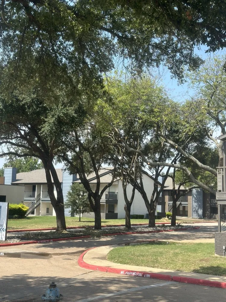 Custom lawn care service for beautiful yards in Dallas, TX by Az Tree Services