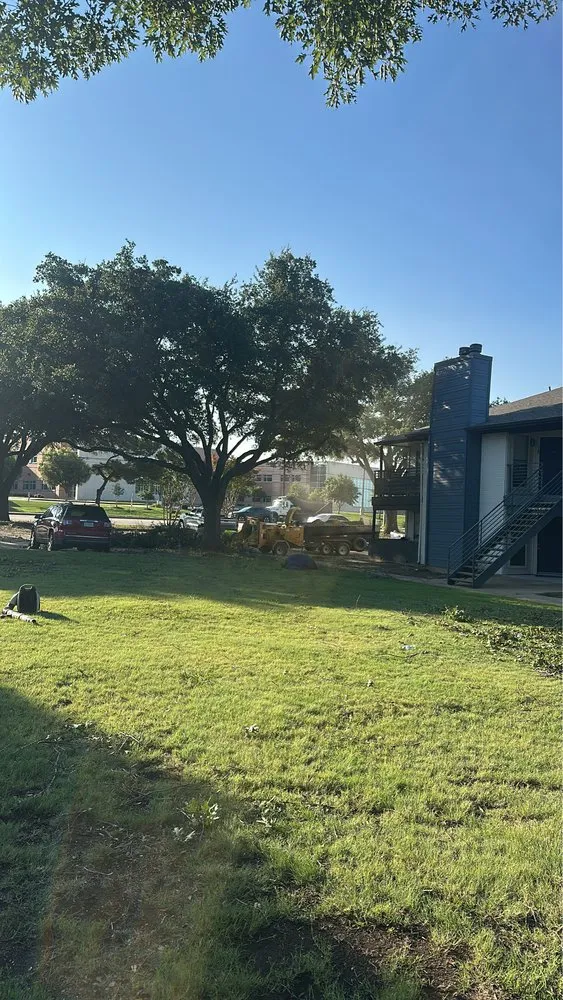 Expert landscaping services in Dallas, TX by Az Tree Services