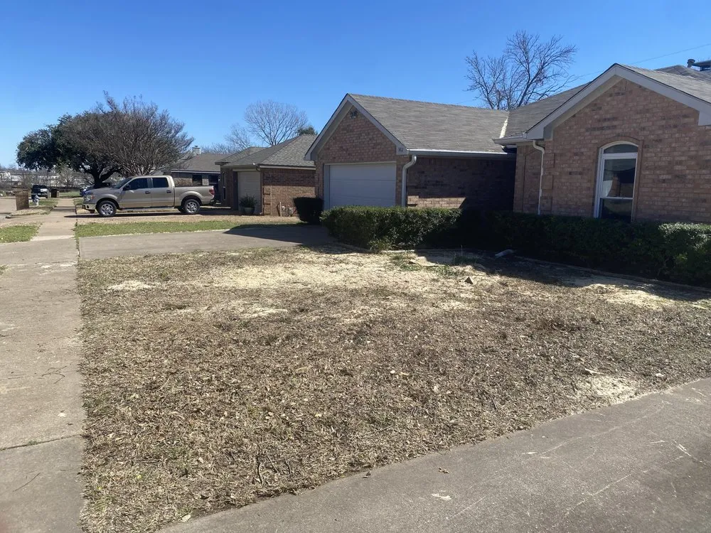 Expert landscape installation in Dallas, TX - Az Tree Services