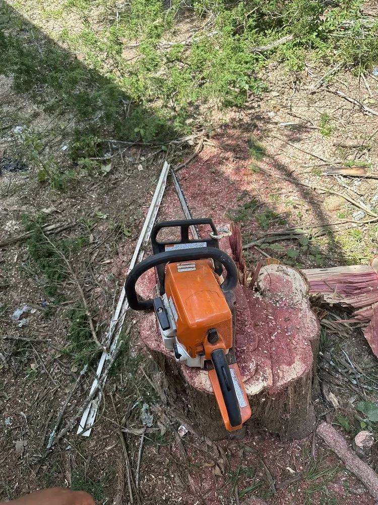 Trusted garden landscaping for homes in Dallas, TX by Az Tree Services