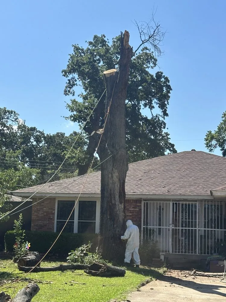 Affordable residential landscaping experts serving Dallas, TX - Az Tree Services