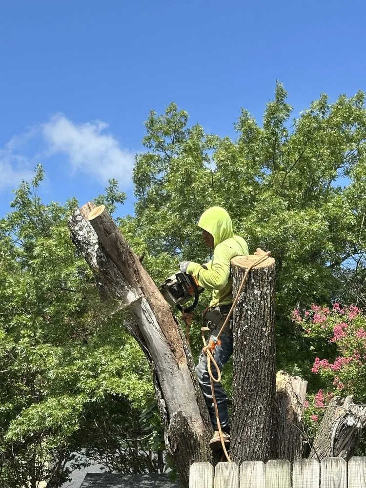 Top-rated yard maintenance for homes in Dallas, TX by Az Tree Services