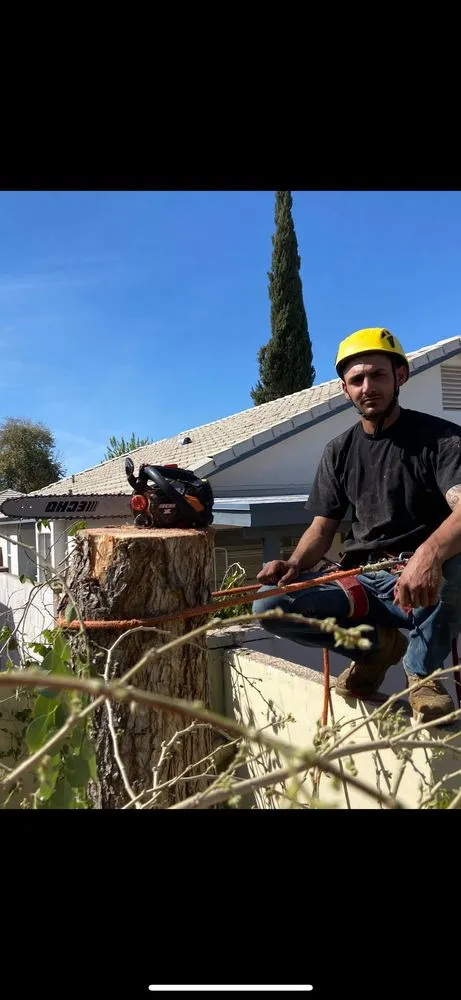 Affordable landscape installation experts serving Phoenix, AZ - AZ Tree Team