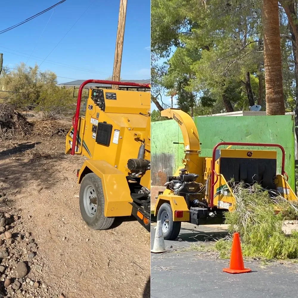 Reliable residential landscaping experts serving Phoenix, AZ - AZ Tree Team