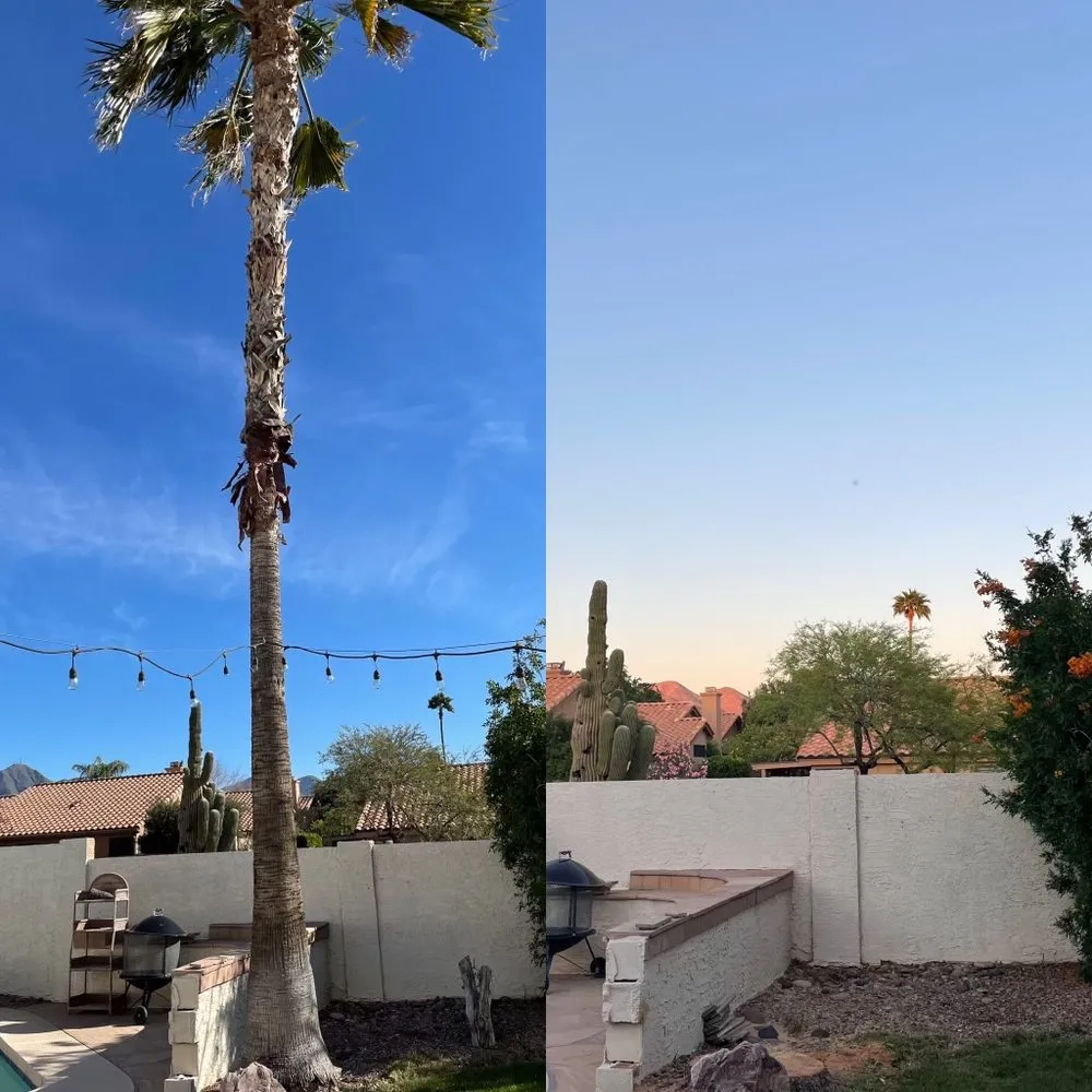 Local lawn mowing service for beautiful yards in Phoenix, AZ by AZ Tree Team