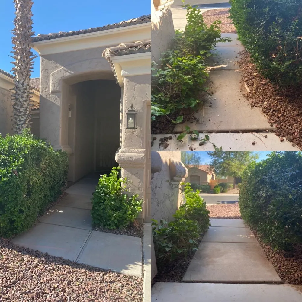 Trusted lawn mowing service experts serving Phoenix, AZ - AZ Tree Team