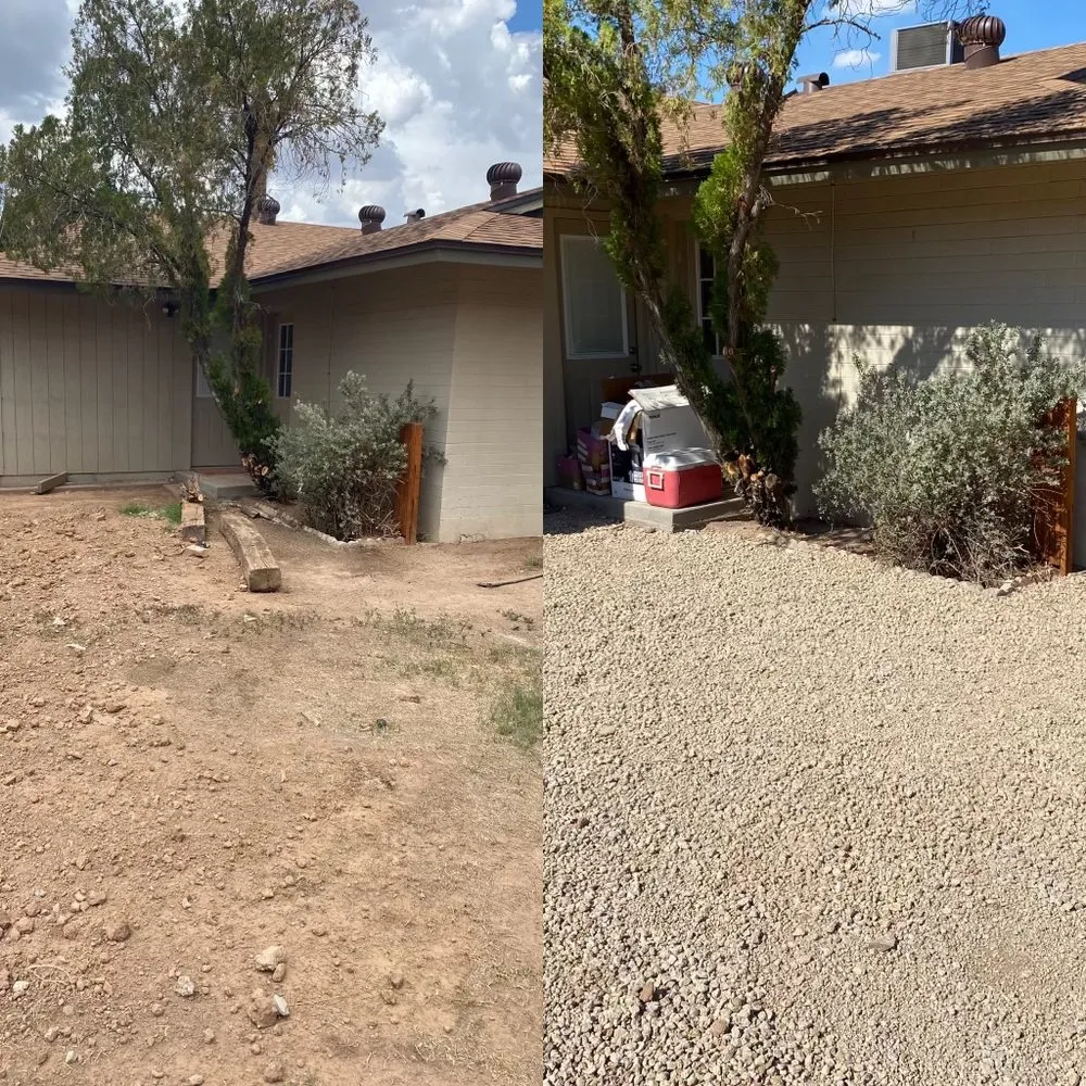 Reliable yard maintenance experts serving Phoenix, AZ - AZ Tree Team