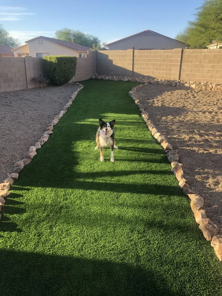Trusted yard maintenance in Tucson, AZ by AZ Turf King