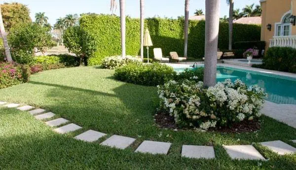 Trusted yard cleanup service for homes across Phoenix, AZ - AZ Valleywide Construction