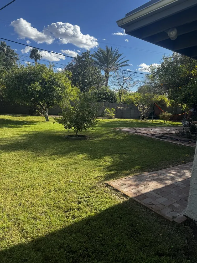 Reliable landscaping services with custom design in Litchfield Park, AZ by AZ Wide Landscaping