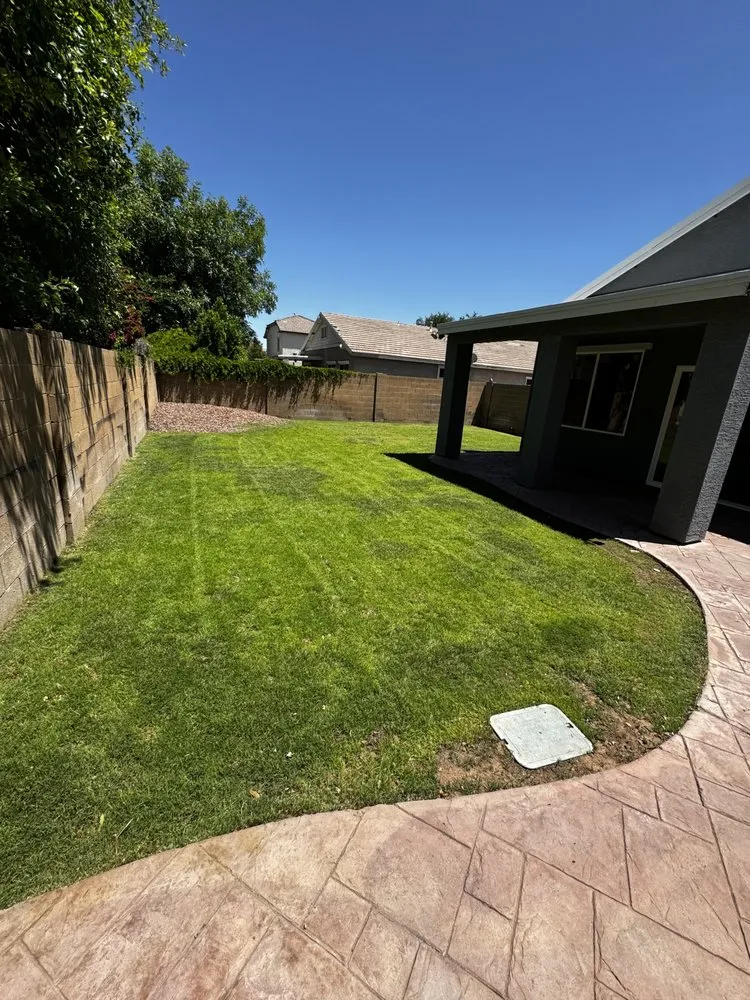 Reliable yard cleanup service in Litchfield Park, AZ by AZ Wide Landscaping