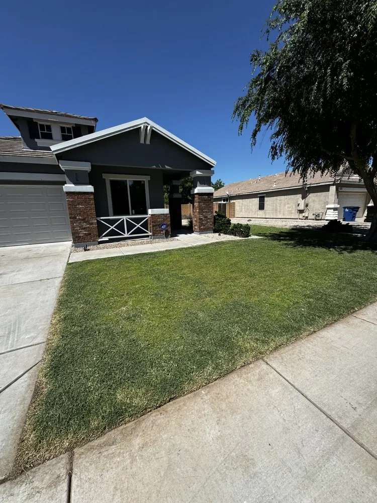 Affordable yard cleanup service in Litchfield Park, AZ by AZ Wide Landscaping