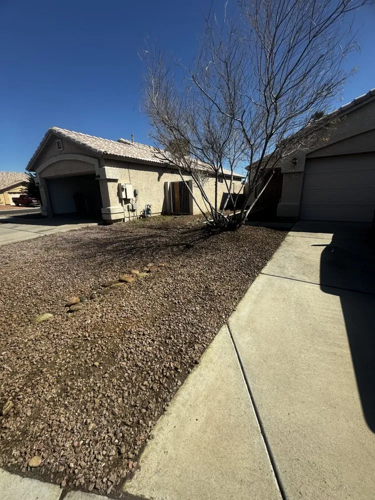 Reliable yard cleanup service in Litchfield Park, AZ by AZ Wide Landscaping