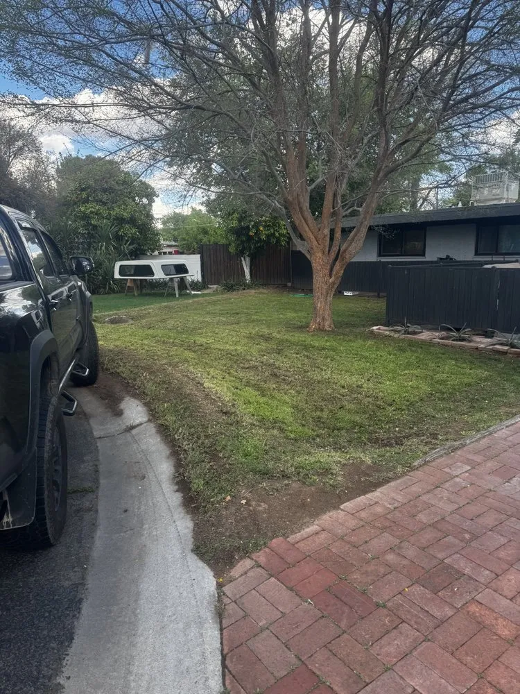 Trusted yard cleanup service in Litchfield Park, AZ by AZ Wide Landscaping