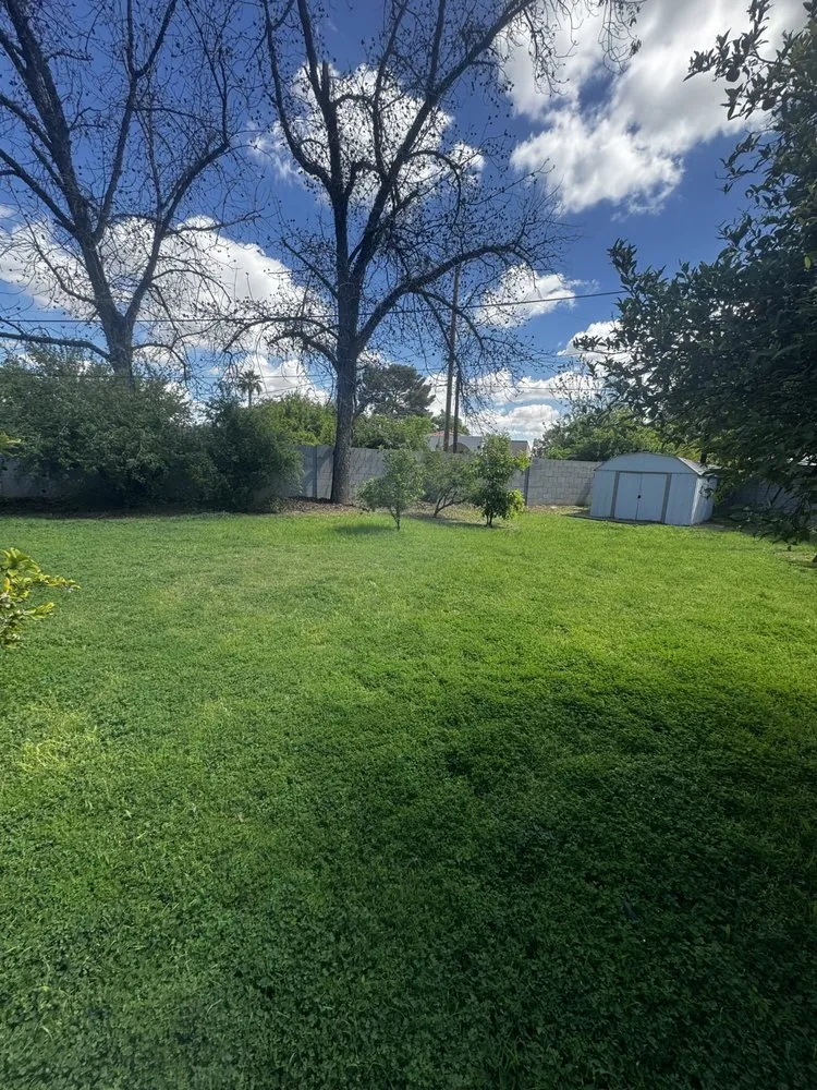 Trusted lawn mowing service for beautiful yards in Litchfield Park, AZ by AZ Wide Landscaping