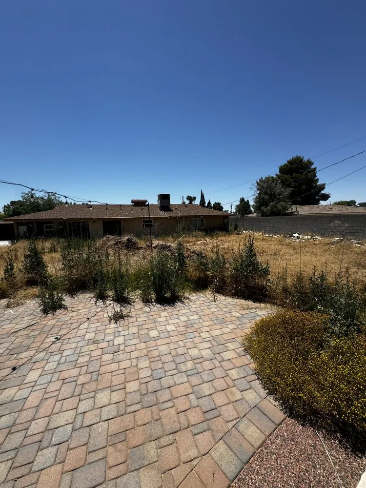 Trusted yard maintenance in Litchfield Park, AZ - AZ Wide Landscaping