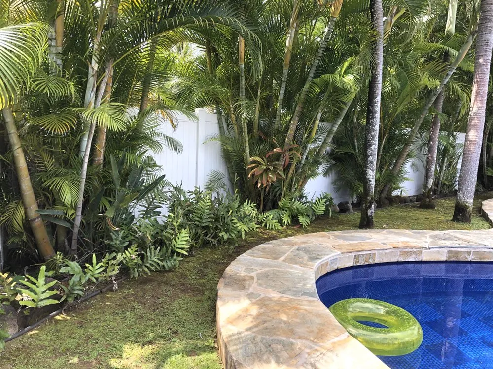 Expert yard cleanup service experts serving Honolulu, HI - AZ Yard Services